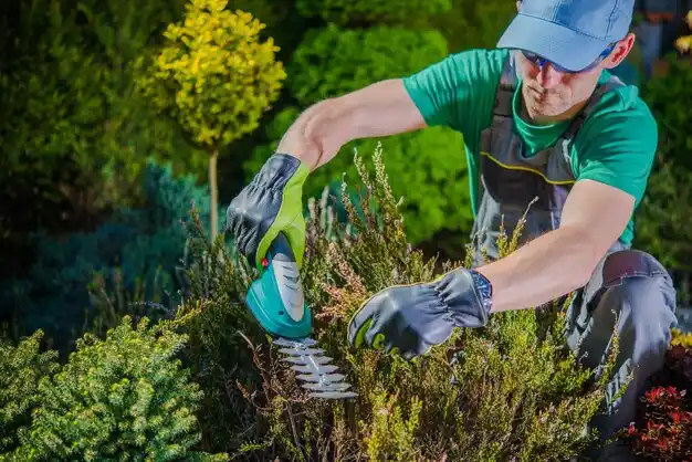 landscaping services Brodhead